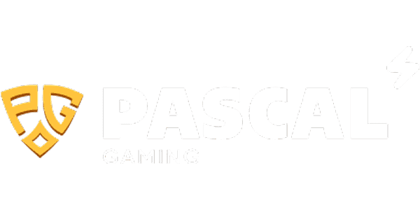 Visa partner logo